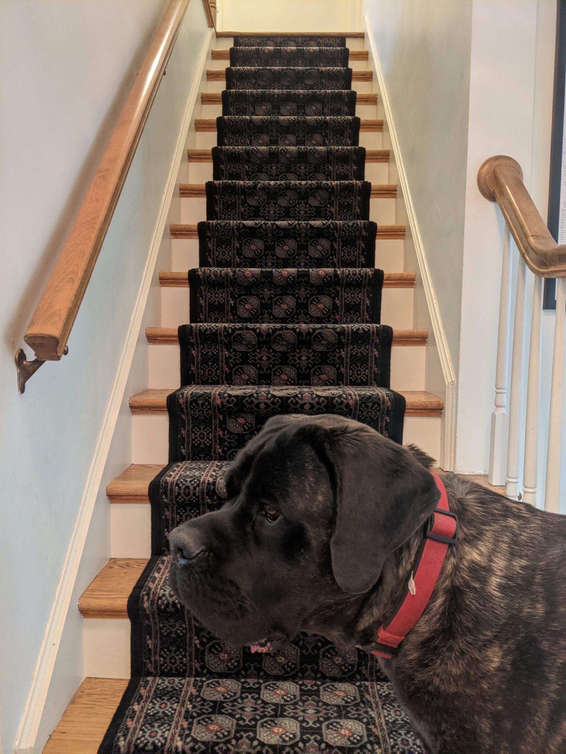Stair Runner Installation